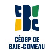 Supervision des équipes de travail (14h)